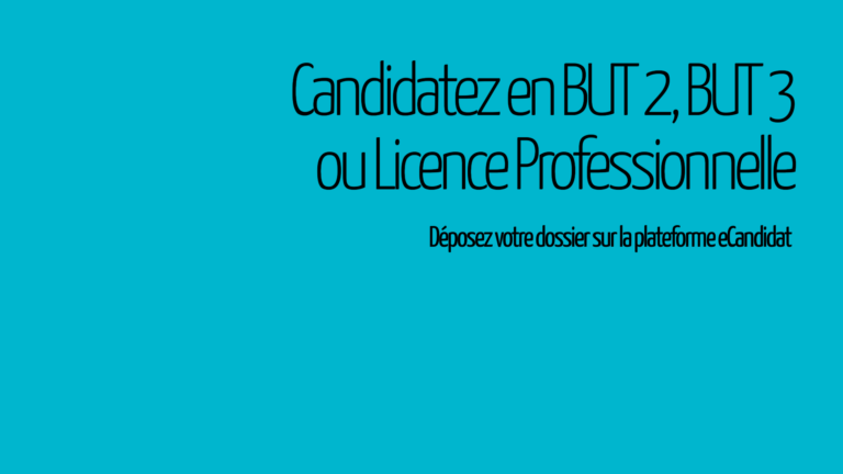 Candidater en BUT 2, en BUT 3 ou en Licence Professionnelle